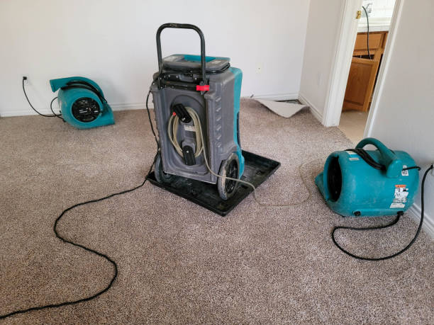Best Sewage cleanup and water damage restoration  in West Park, NJ