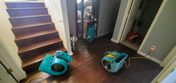 Best Water damage repair service  in West Park, NJ