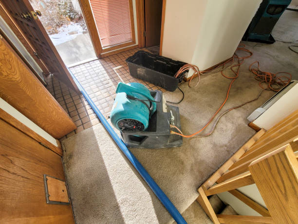 Best Ceiling water damage repair  in West Park, NJ