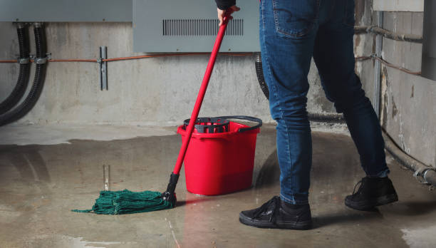 Best Flood damage cleanup  in West Park, NJ