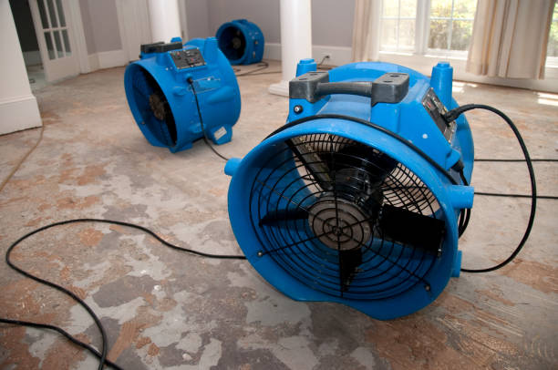 Best Water damage cleanup near me  in West Park, NJ