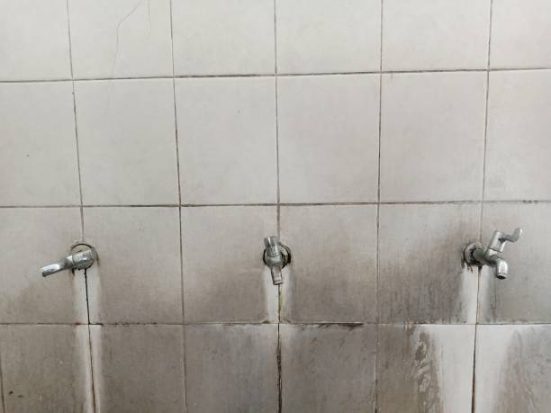 Best 24-hour water damage restoration  in West Park, NJ