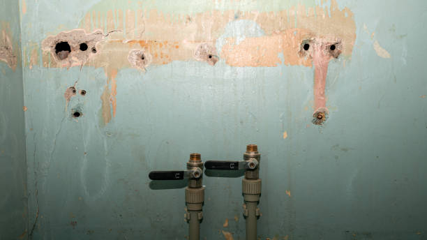  West Park, NJ Water damage restoration Pros