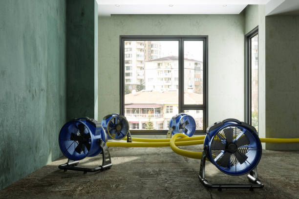 Best Commercial water damage restoration  in West Park, NJ