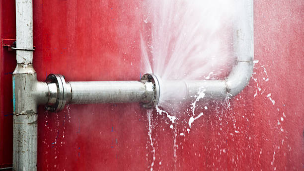 Best Professional water damage repair  in West Park, NJ